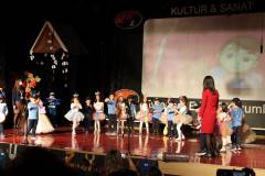 Evrensel Kolej